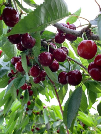 WeChat Image_20190512163837.jpg