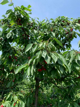 WeChat Image_20190512163845.jpg